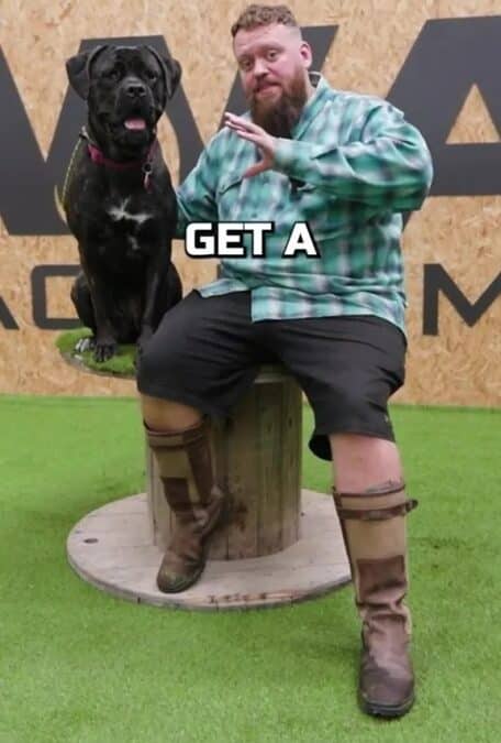 Dog Expert Suggests NOT Owning This Dog Breed 2 006b7032 eeb0 4787 ae67 2c7b18a6f9de