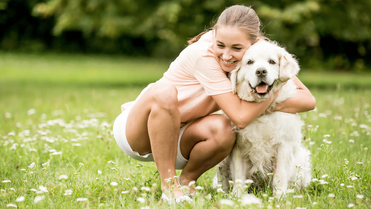 Experts Discover Why Some Dogs Get Cancer and Others Don't 4 Love your dog