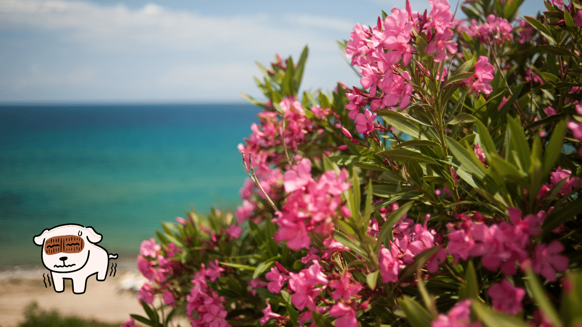 These are 15 Poisonous Plants for Dogs To Stay Away From 7 Oleander