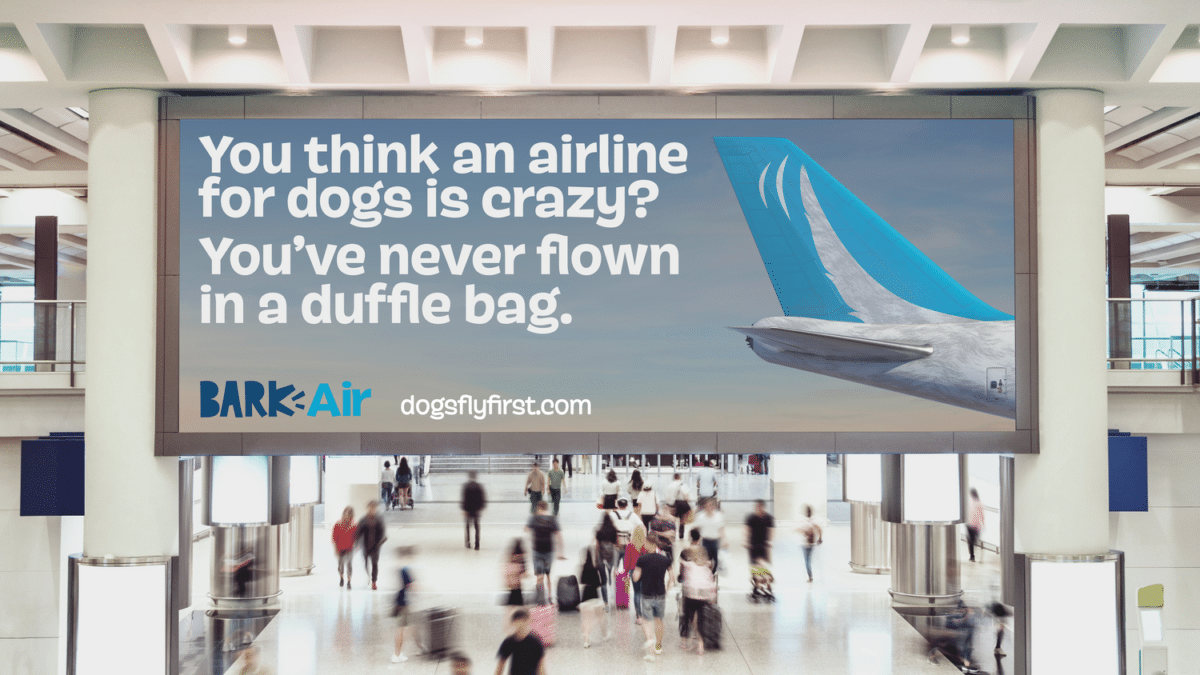 BARK Air is a New Airline Just For Dogs 2 bark airlines review expensive price for dogs
