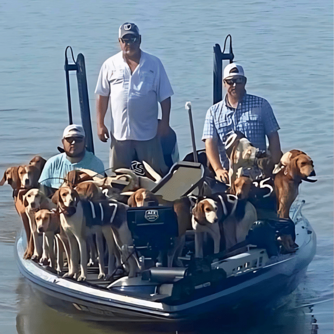 Fishing Crew Rescues 38 Dogs From Drowning in Lake 3 38 dogs saved from lake