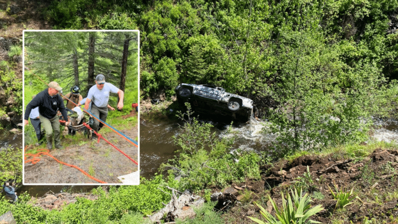 Incredible Rescue: Dog Runs Four Miles for Help After Owner's Car Crash 5 Incredible Rescue Dog Runs Four Miles for Help After Owner's Car Crash cover