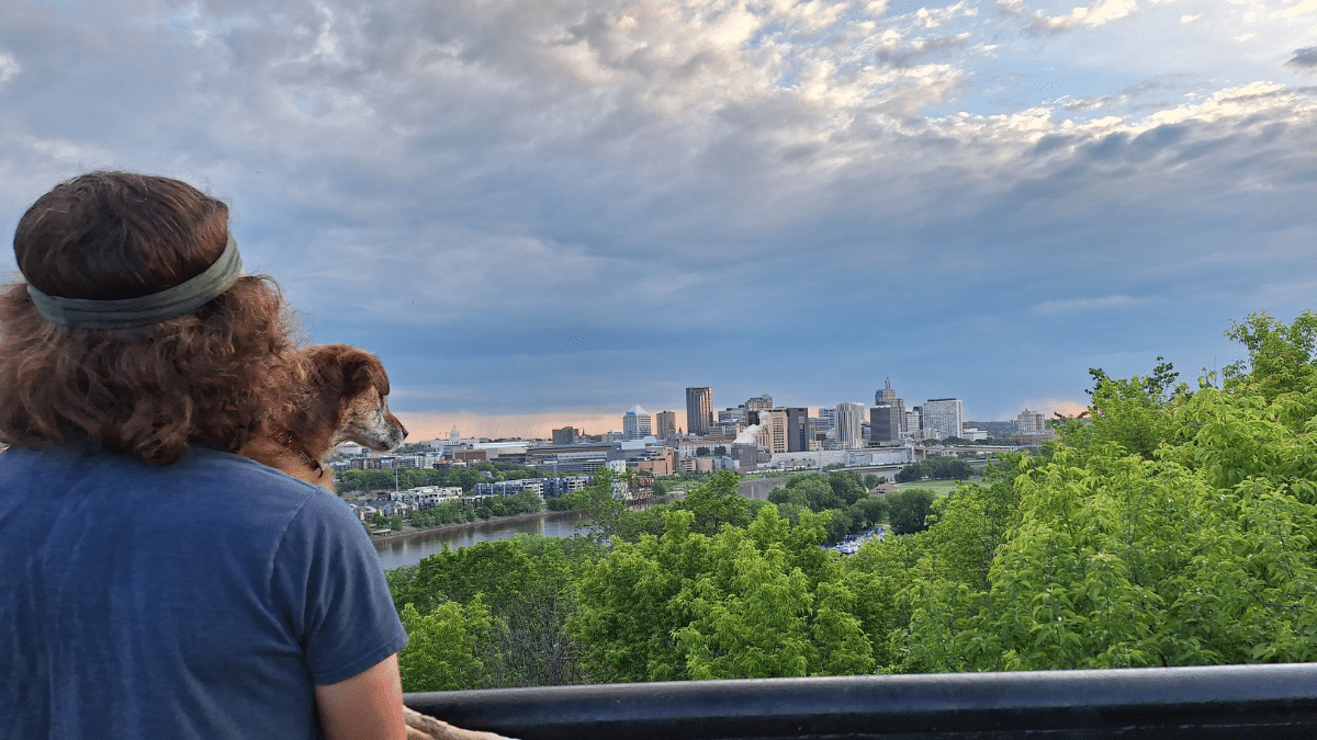 This 18 Year Old Blind and Deaf Dog Gets a Second Chance at Life 4 Abe Setters with Nanna overlooking the city (source: @mrpuckett Imgur)