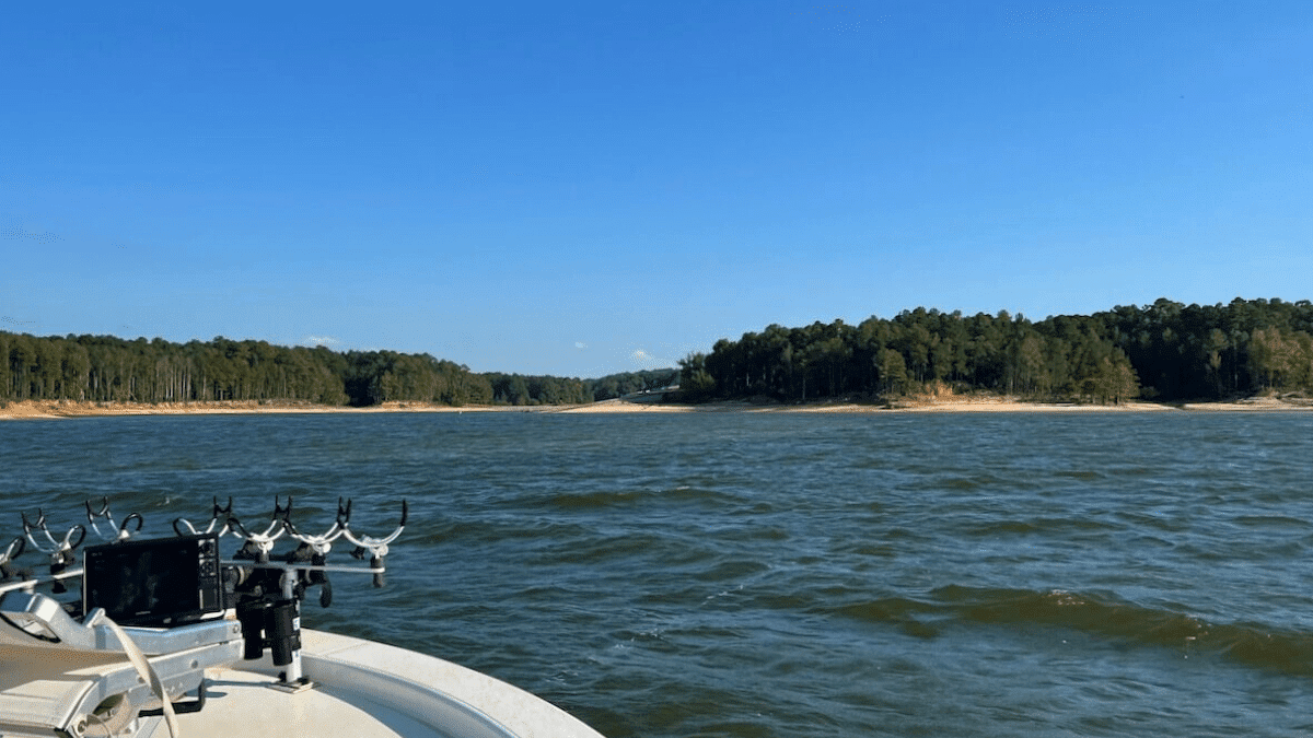 Fishing Crew Rescues 38 Dogs From Drowning in Lake 2 granada lake from a fishing boat