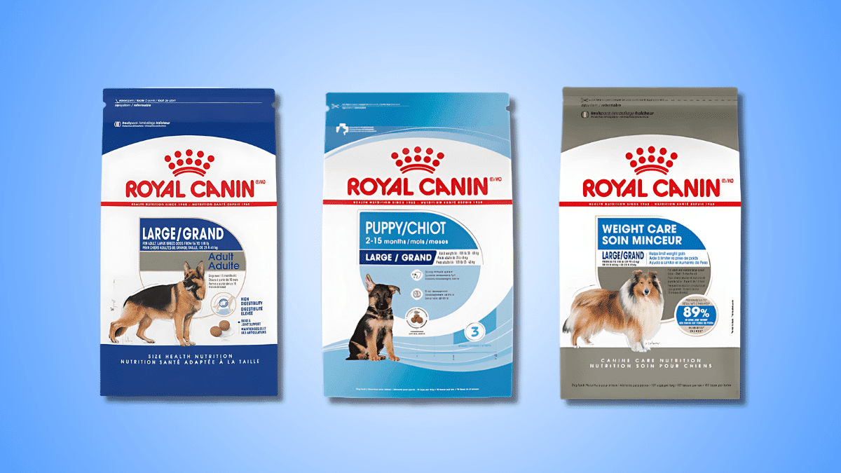 Top 10 Healthiest Dog Food Brands Your Dog Must Try 3 image 11