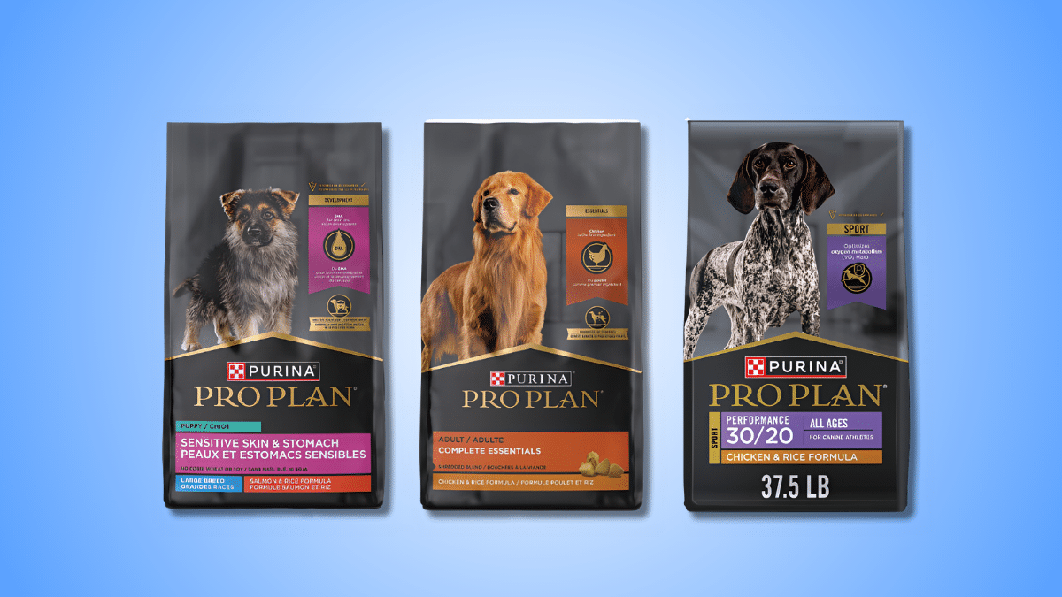 Top 10 Healthiest Dog Food Brands Your Dog Must Try 4 image 12