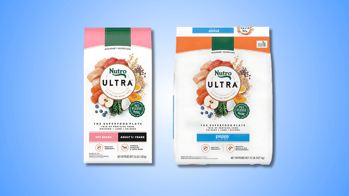 Top 10 Healthiest Dog Food Brands Your Dog Must Try 8 image 16
