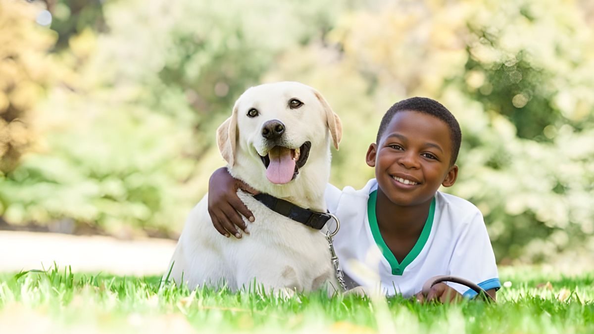 12 Dogs Who Are Perfect For Children 11 3 Labrador Retriever