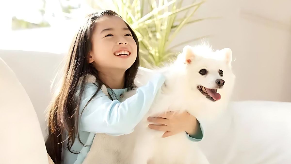 12 Dogs Who Are Perfect For Children 6 8 Japanese Spitz