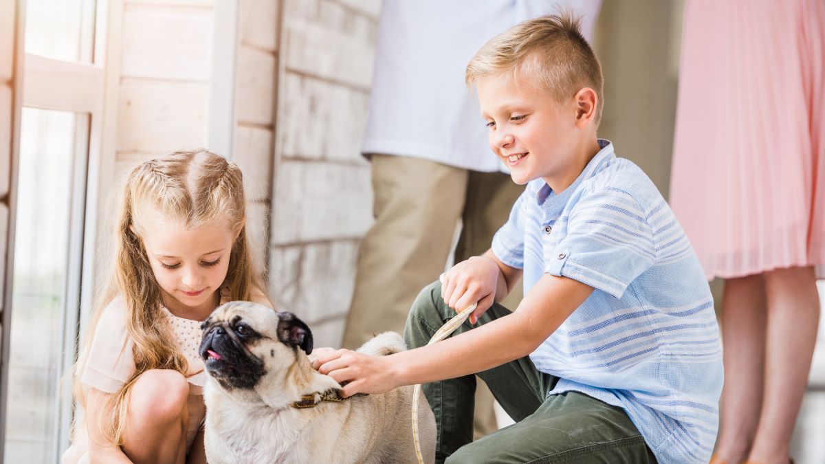 12 Dogs Who Are Perfect For Children 5 9 Pug 1
