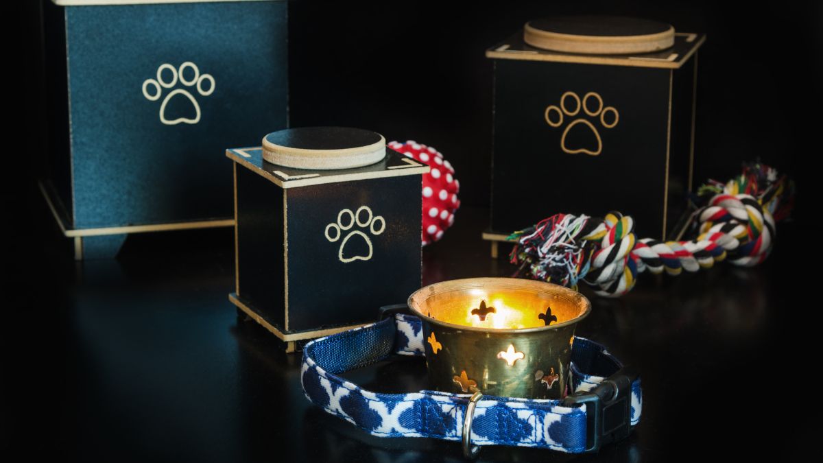 15 Dog Scams You Should Look Out For 13 Pet Cremation Scam