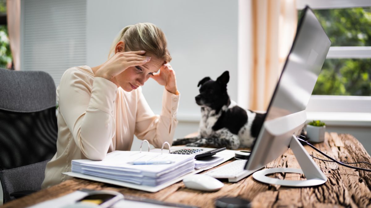 Mood Mirror: How Dogs Reflect Human Stress of Owners 2 Stressed out owner