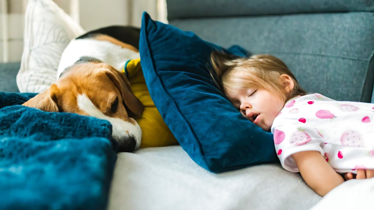 12 Signs Your Dog Loves You 4 Just Chilling Out Or Having A Slumber Party