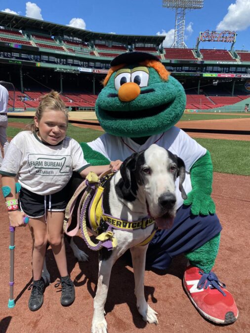 Service Dog Gets Reward for Helping a Child with Rare Disease Walk 2 Bella and George the service dog