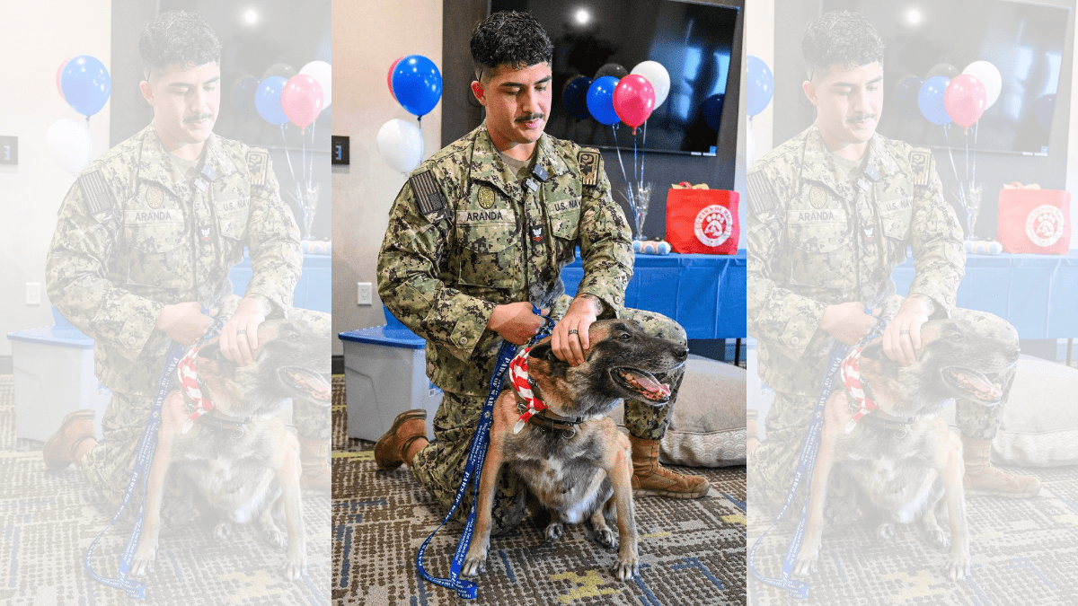 Bond Beyond Service: Soldier and His Retired Canine Partner Reunite 4 Aranda with his former canine partner Donnie