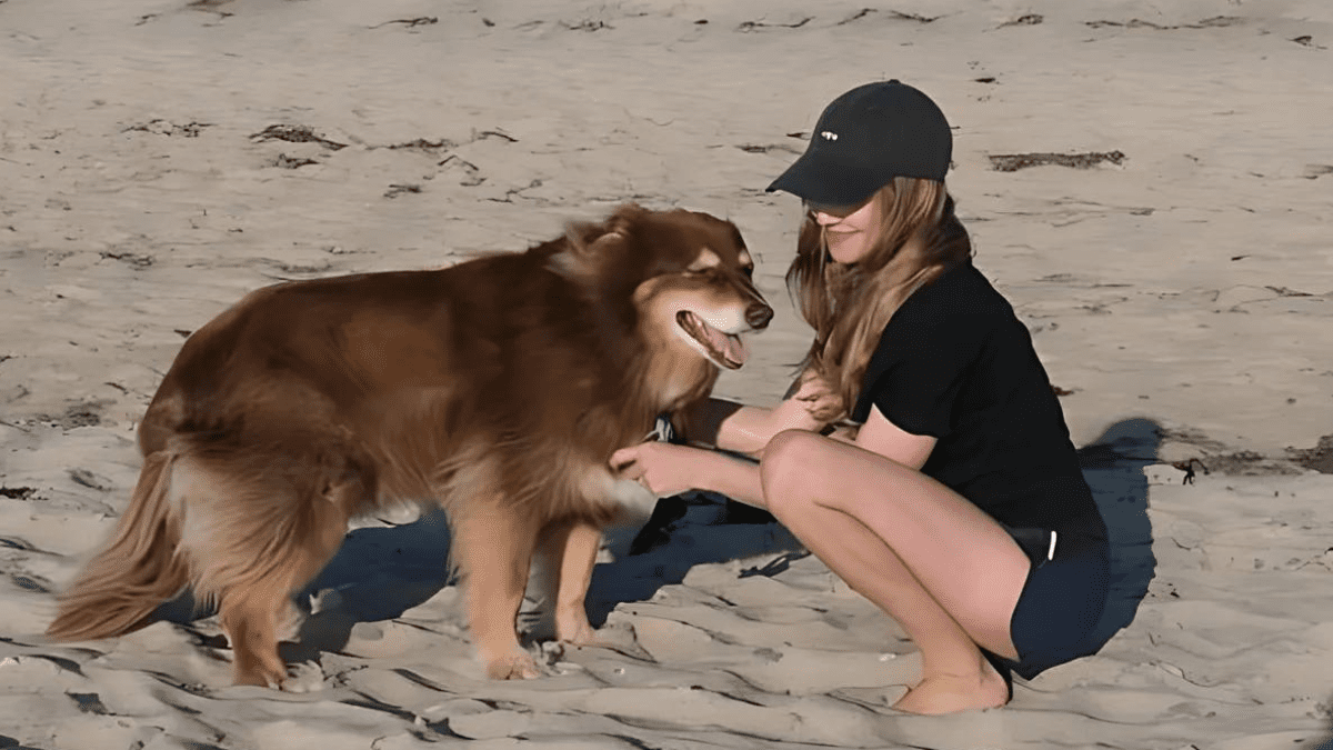 Amanda Seyfried Celebrates Her Dog's 15th Birthday with Sweet Snaps 3 Beach moment of Amanda and Finn