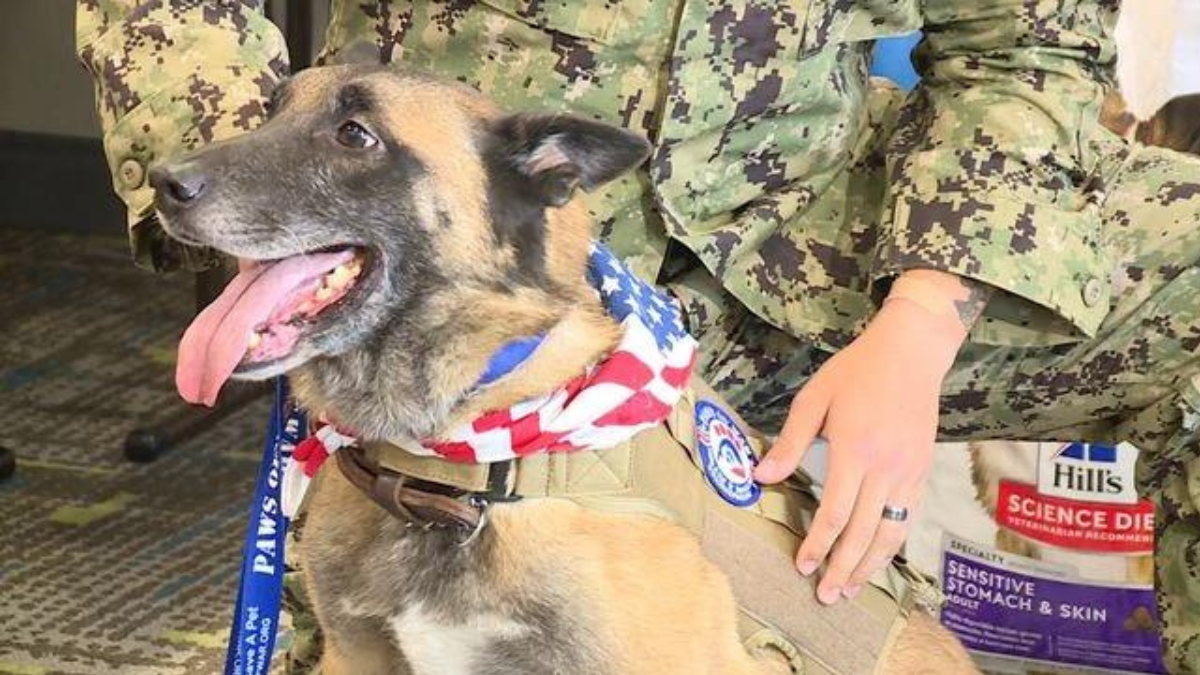 Bond Beyond Service: Soldier and His Retired Canine Partner Reunite 3 Donnie looking joyful during the reunion