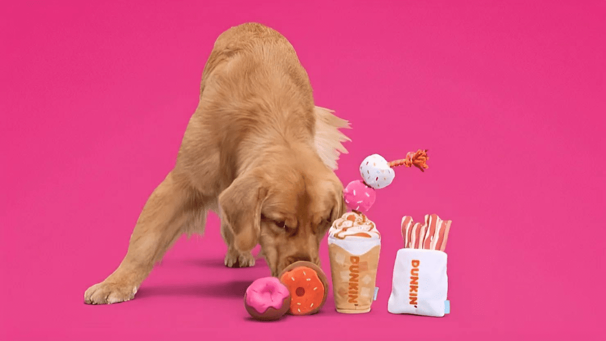 Dunkin’ and Milk-Bone Unite for a Tail Wagging Dog Treat 3 Dunkin Fall Dog Toys
