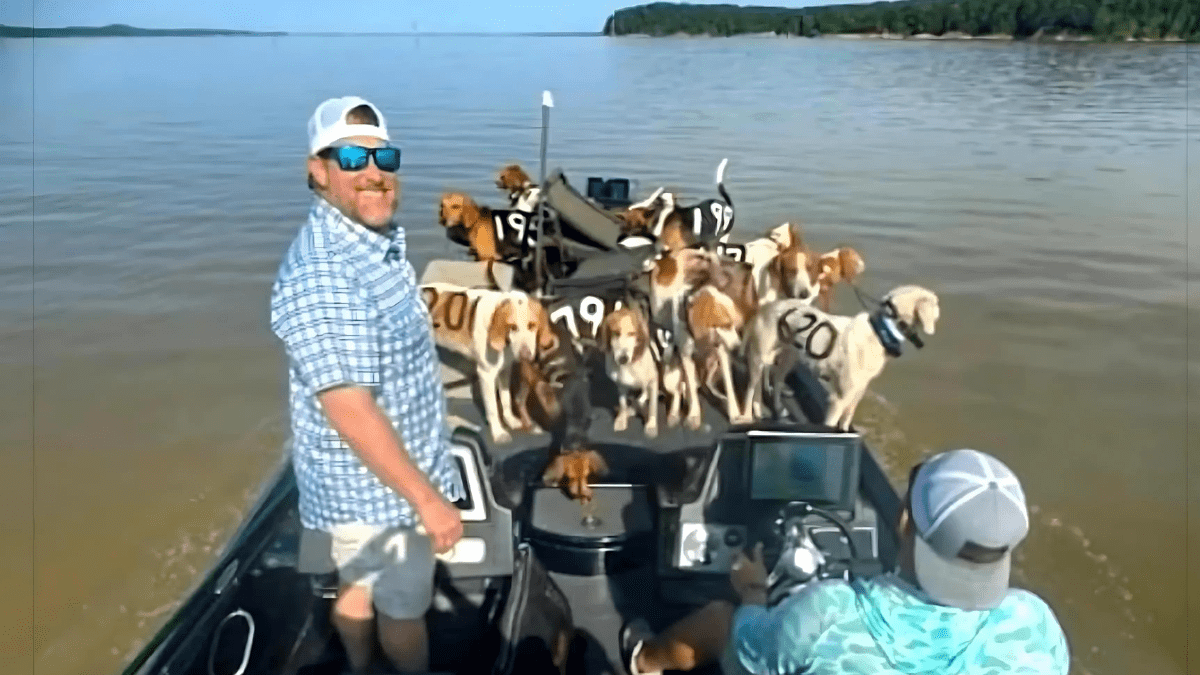 Coast Guard Rescues Dog and Owner Amid Hurricane Helene 4 Fishermen rescued 38 dogs from drowning