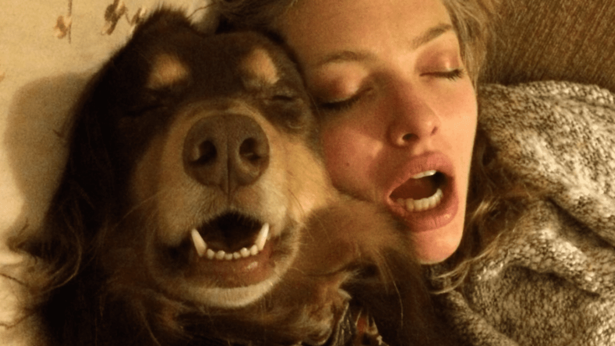 Amanda Seyfried Celebrates Her Dog's 15th Birthday with Sweet Snaps 2 Goofy photo of Amanda Seyfried and her rescue dog Finn