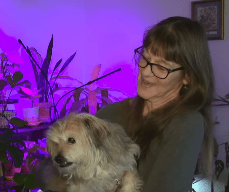 Woman Finds Missing Dog in the Last Place She Expected 2 Jen and Bear