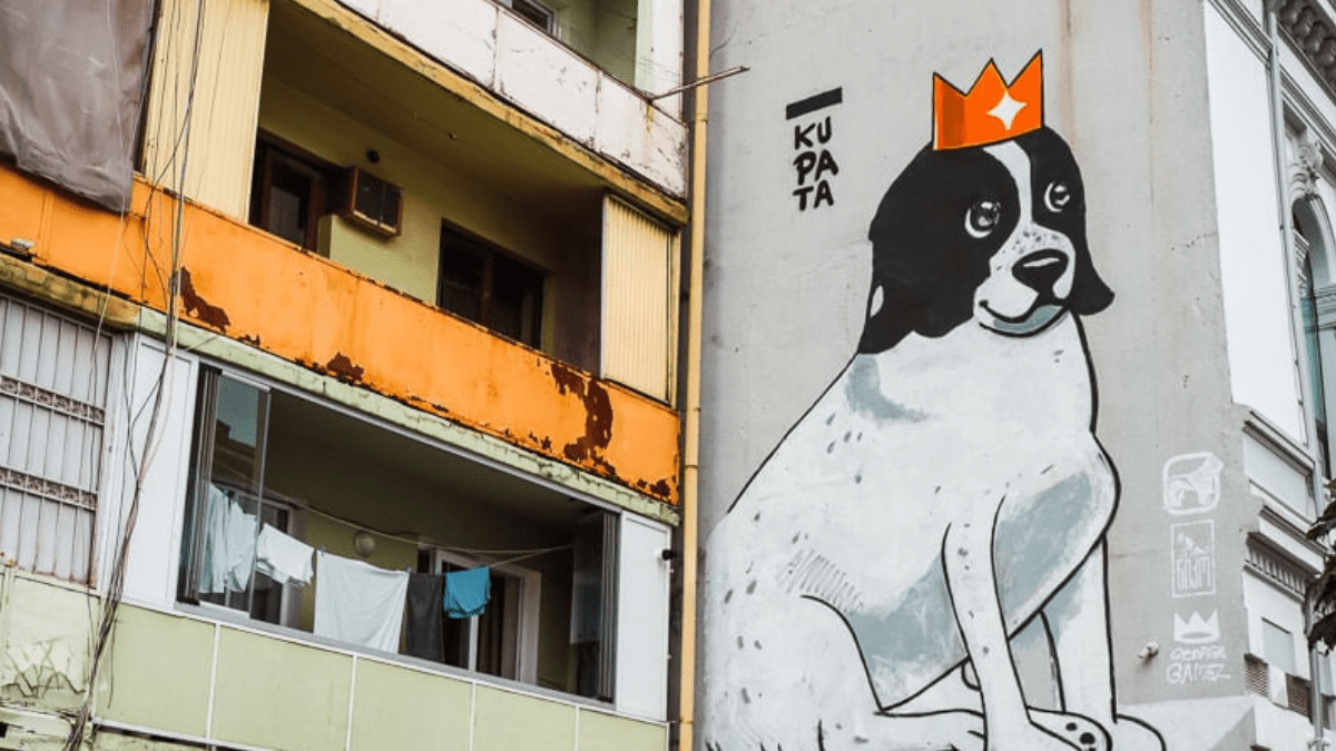Heroic Stray Dog Takes on the Role of Student Crossing Guard 3 Kupata Street Art