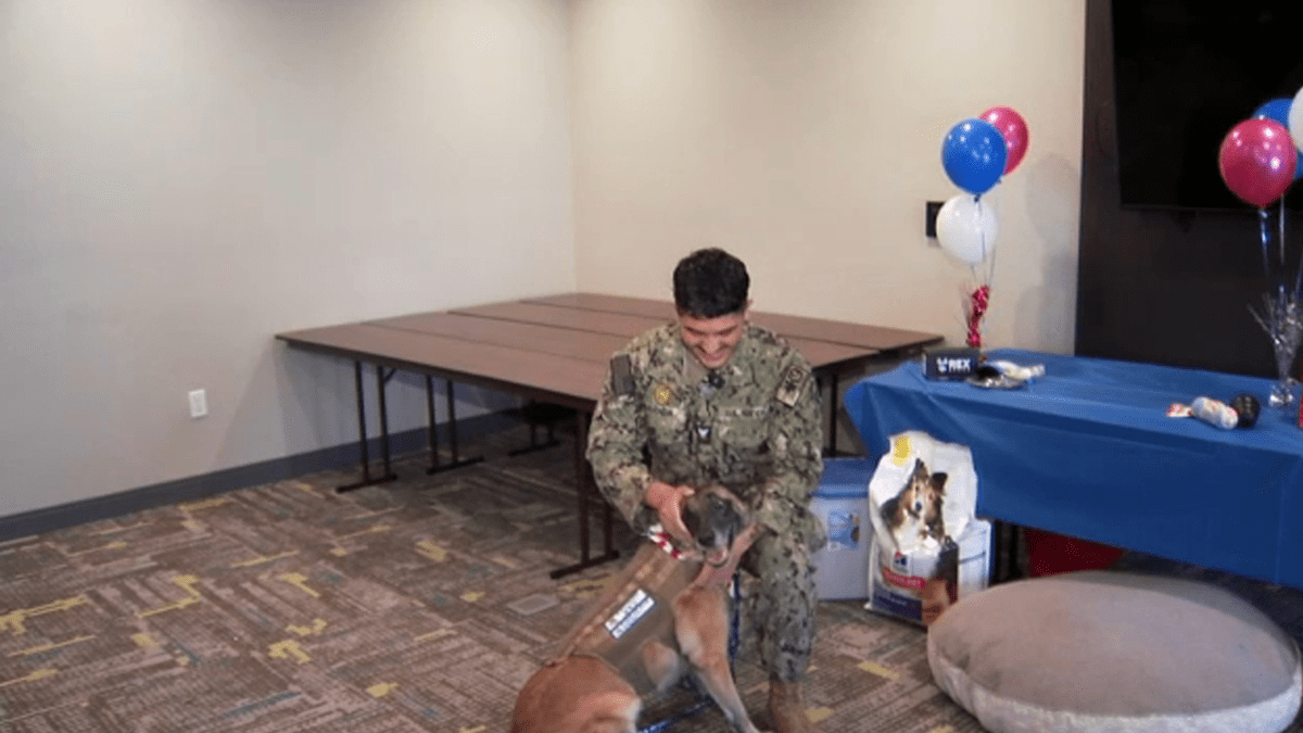 Bond Beyond Service: Soldier and His Retired Canine Partner Reunite 2 Military dog Donnie reunites with his former handler