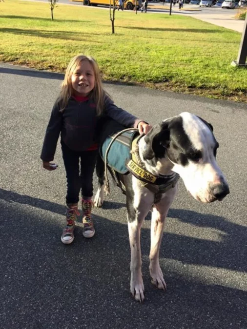 Service Dog Gets Reward for Helping a Child with Rare Disease Walk 3 Bella and George talking a walk