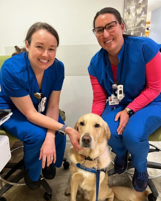 Jude: The Golden Retriever Bringing Smiles to Sick Kids 2 Jude with other healthcare professionals at Wolfson Children's Hospital