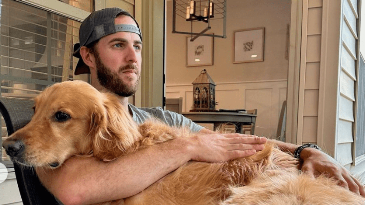 Why This Golden Retriever’s Unique Habit is Captivating Fans Online 2 @AGuyandAGoldenn
