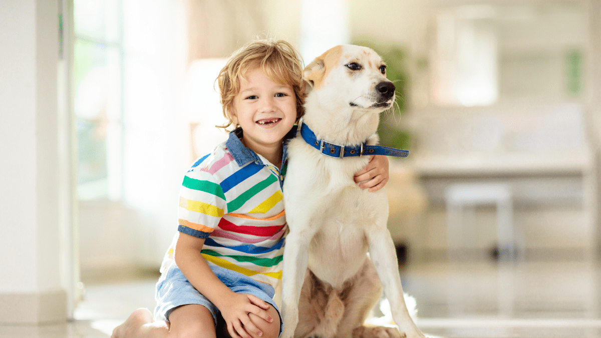 Jude: The Golden Retriever Bringing Smiles to Sick Kids 4 A child and a dog