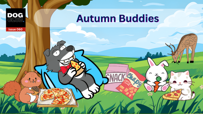 Don't Miss Out on Petco's Top Dog Deals for October 5 DN60 10202024 UPLOADED