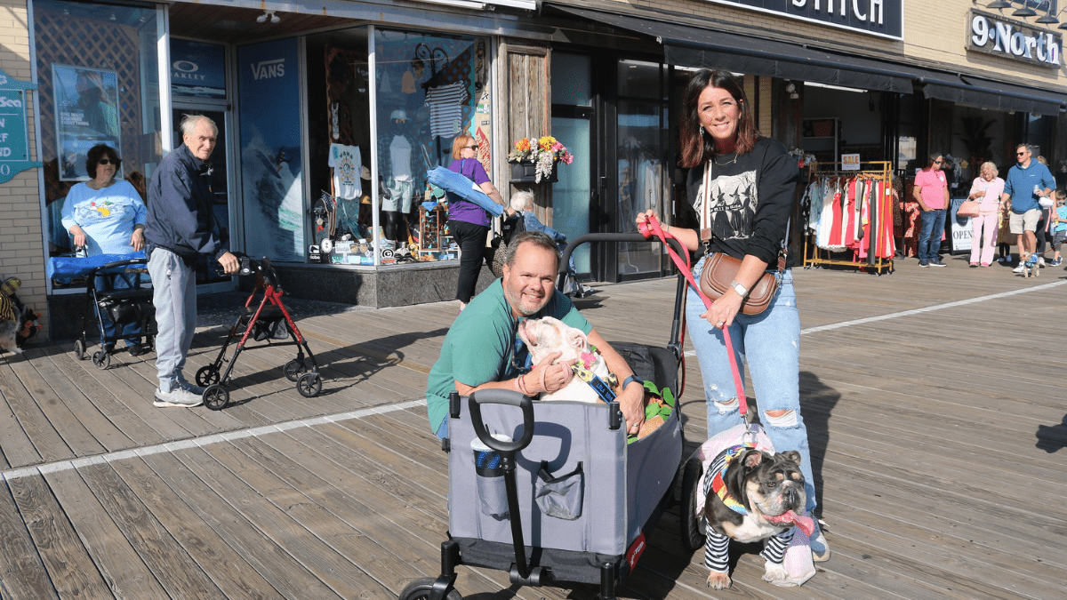 “Howl-O-Ween” Dogs Take Over Ocean City Boardwalk in Spooky Costumes 3 English Bulldogs Lola and Lily