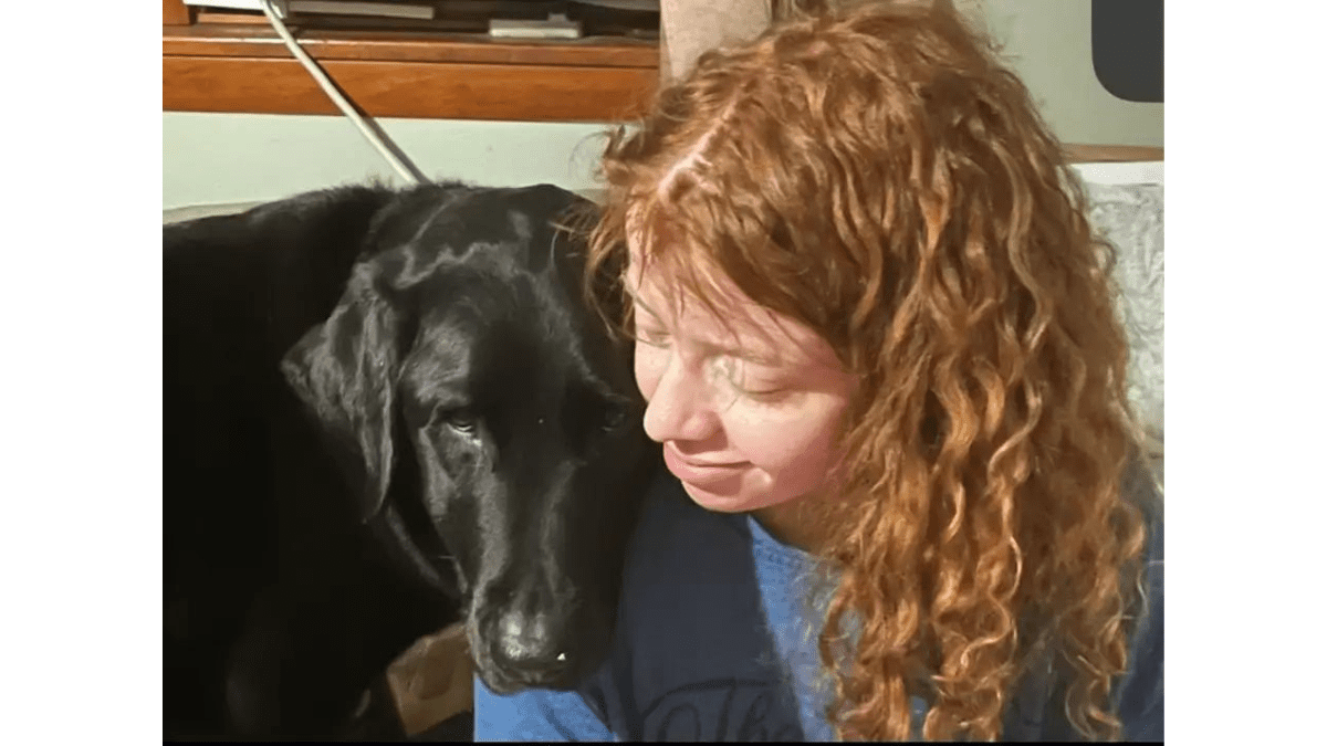 Meet Percy: The Brave Dog Nominated for National Hero Award 2 Hero dog Percy with owner Ariana Parker