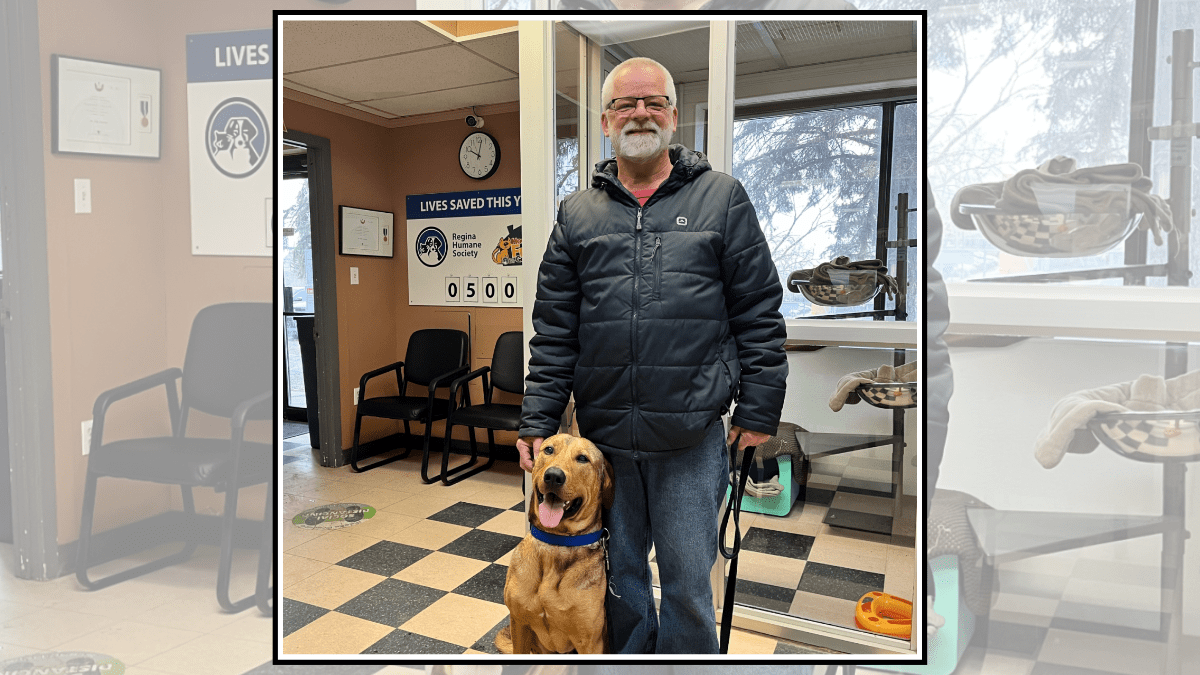 The Shelter Dog Who Kissed Every Staff Goodbye on His Adoption Day 3 Jax with his new owner