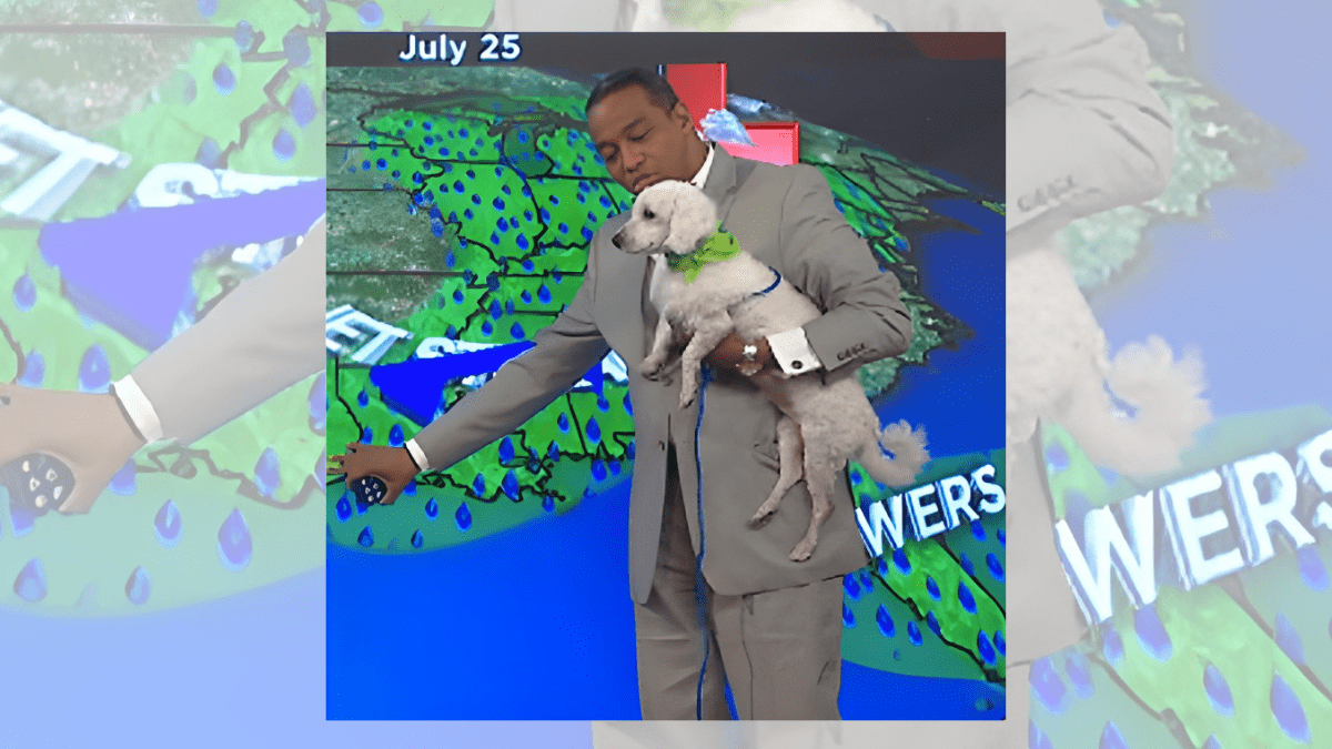 This Adorable Dog Who Stole a Weatherman's Heart on Live News 3 Khambrell Marshall and Angel