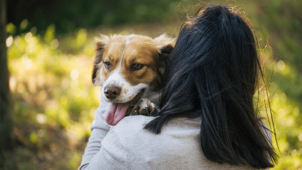 This Adorable Dog Proves Love Matters More Than Food 3 Milorad KravicGetty Images Signature