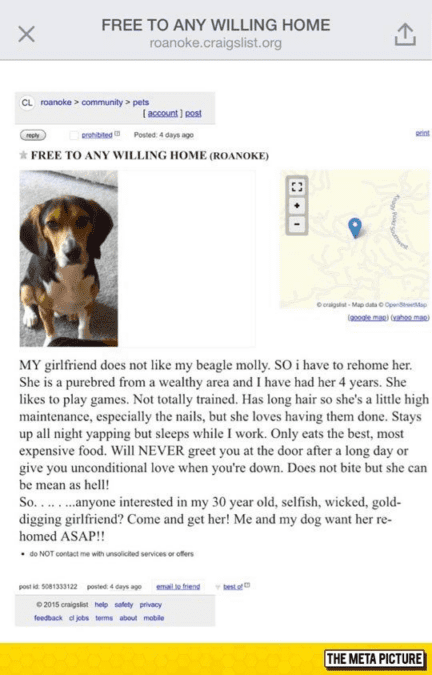 Man’s Response to Girlfriend’s ‘Me or the Dog’ Ultimatum Goes Viral 2 Molly
