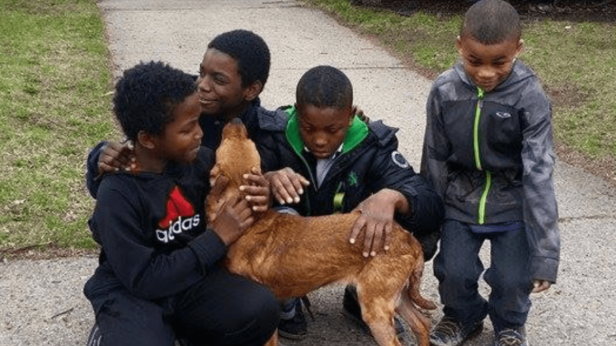 Four Boys Come Together to Rescue an Abandoned Dog in Detroit 2 The four young boys who saved Sparkle