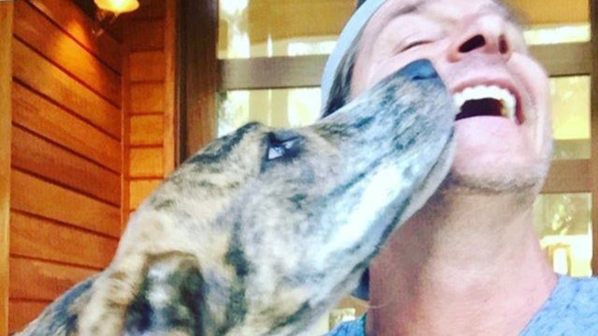 Ty Pennington’s Heartfelt Goodbye to His Departed Dog Georgia 3 Ty Pennington and Georgia