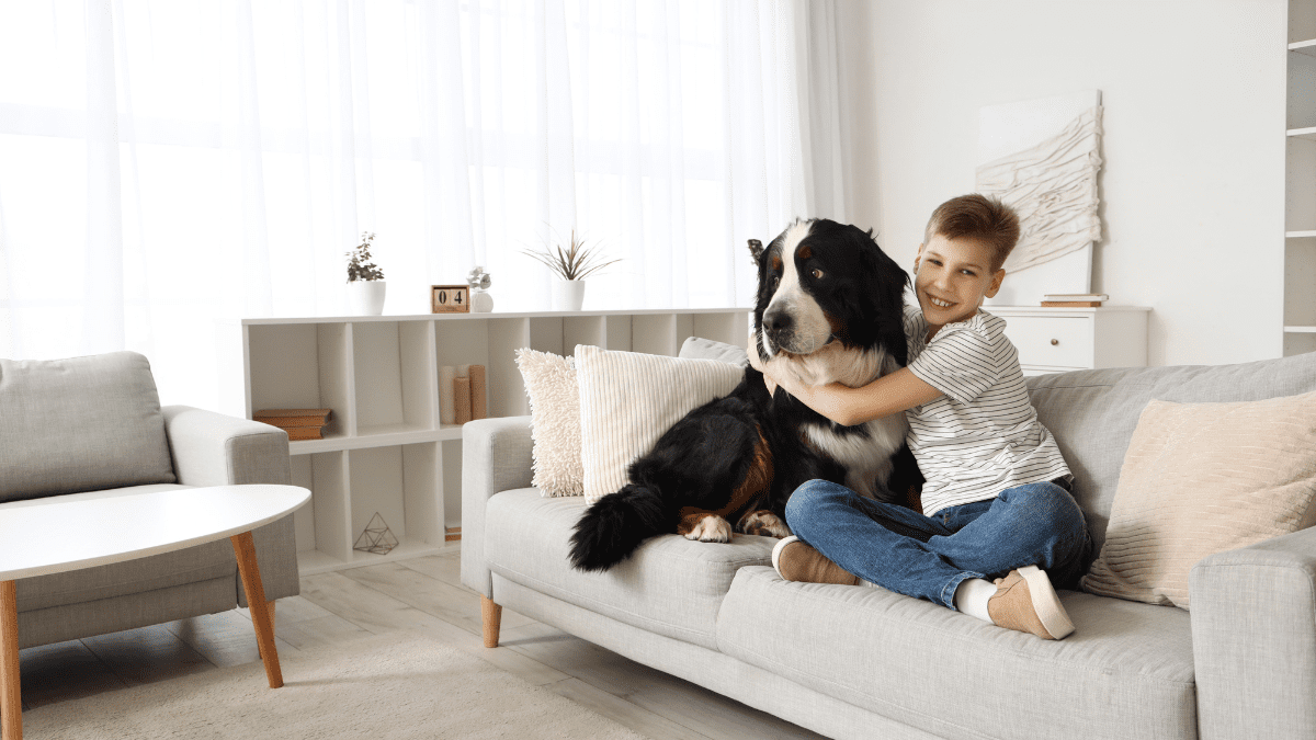 Top 15 Most Loving Dog Breeds 5 Bernese Mountain Dog