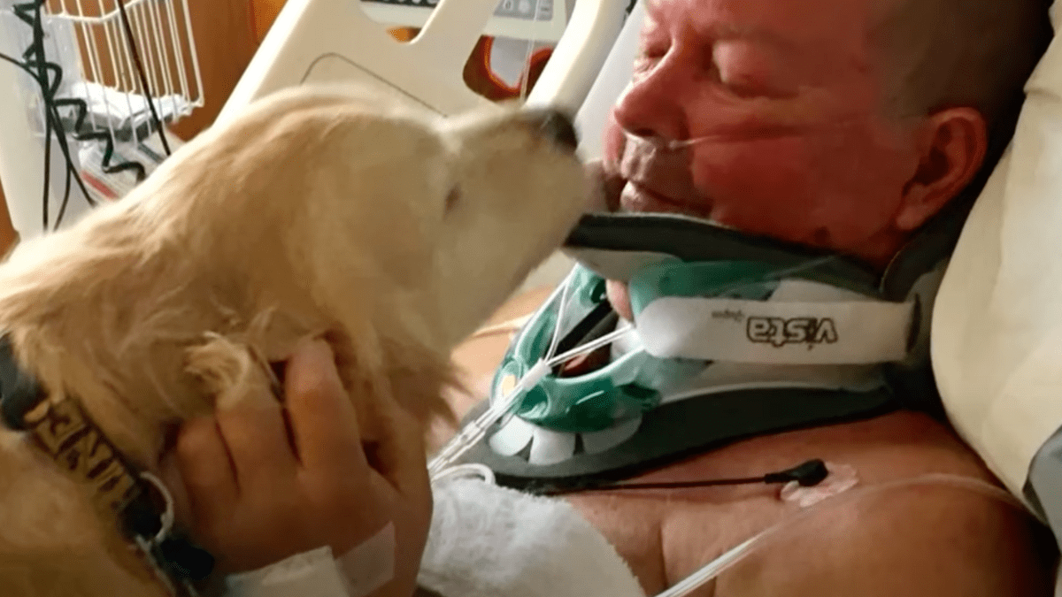 Loyal Dog Refuses to Leave Paralyzed Owner Stranded in Snow 4 Bob and Kelsey 2
