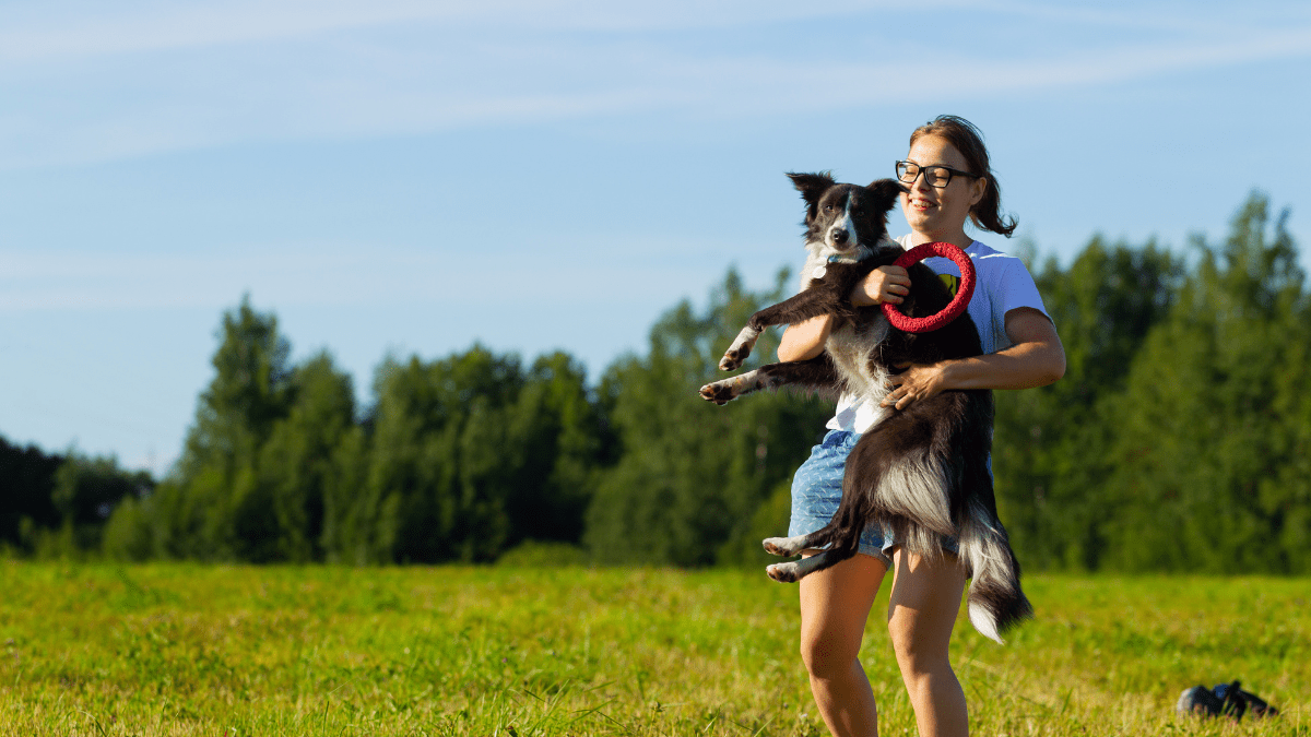Top 15 Most Loving Dog Breeds 10 Border Collie