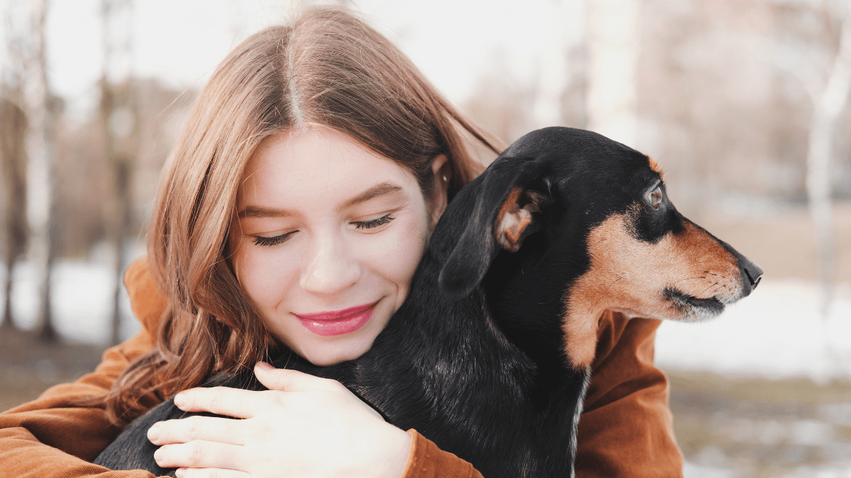 Top 15 Most Loving Dog Breeds 3 Daschund
