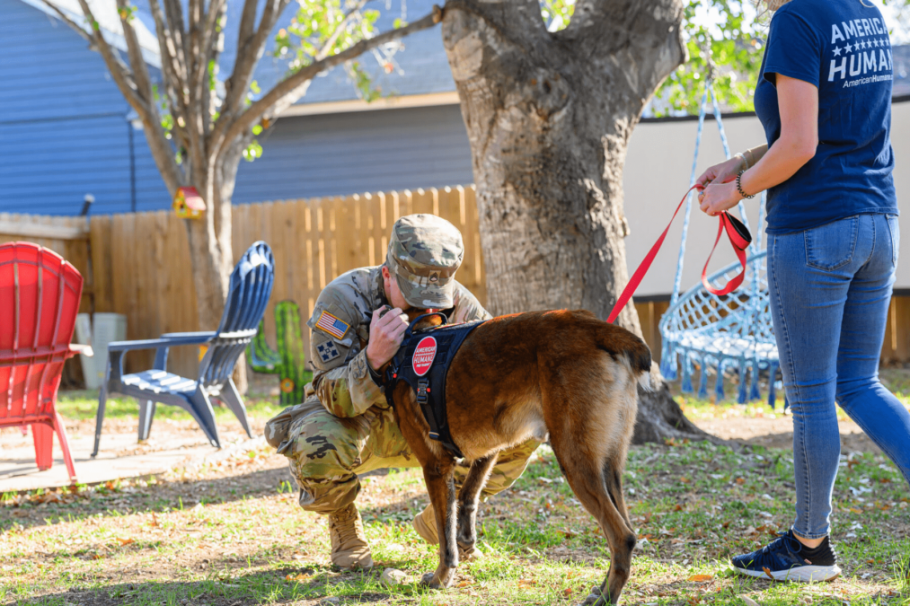 Soldier and His Military Dog Reunite for a Holiday to Remember 3 Dog 1800x1200 min