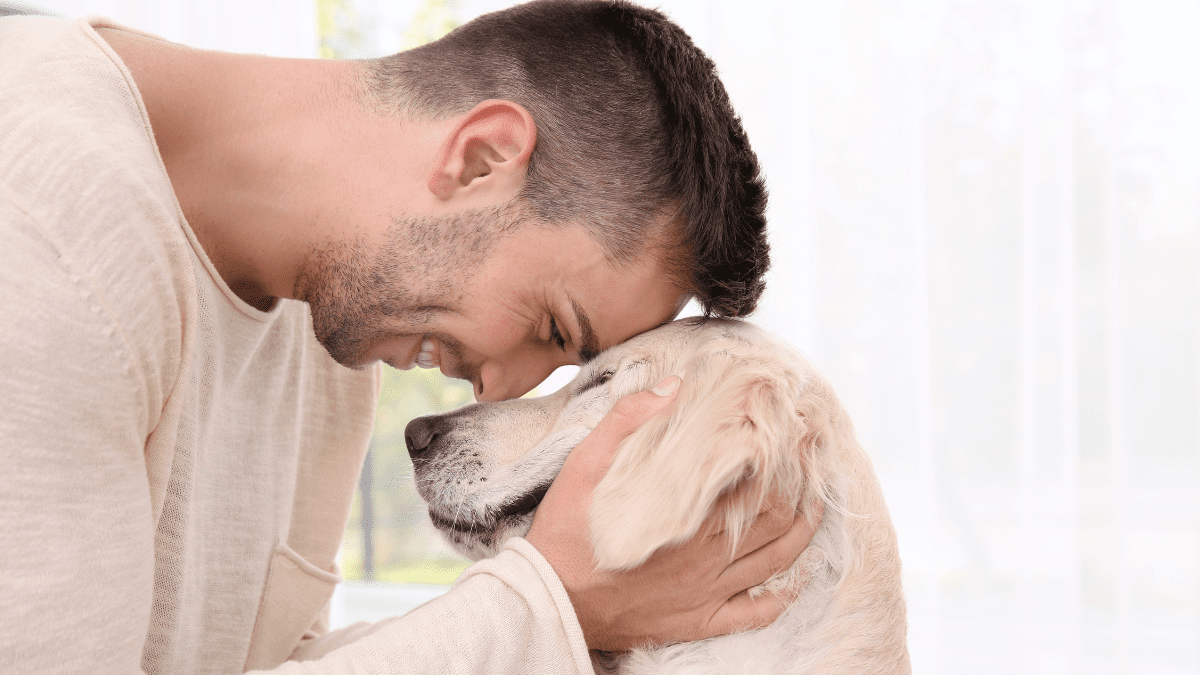 Your Dog's Heart Activity Could Match With Yours, Study Reveals 2 Dog being affectionate with owner
