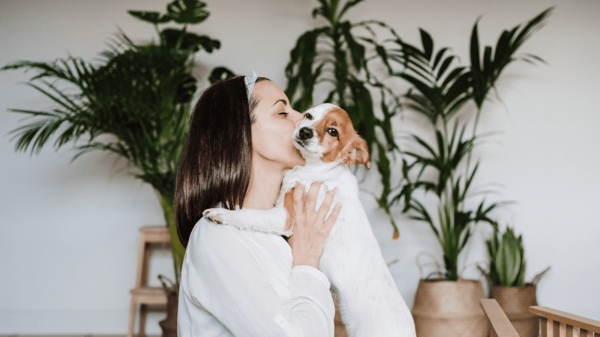 Research Says Your Female Dog Judges You More Than A Male Dog 3 Dog being affectionate