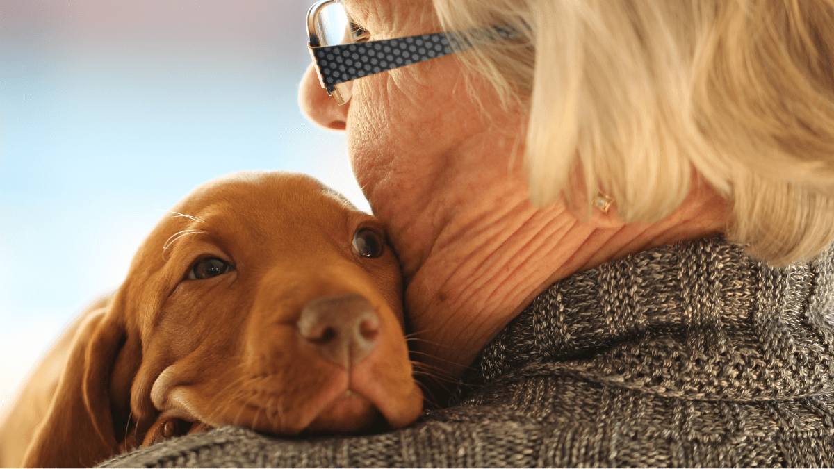 Queen Camilla Bids Farewell to Her Rescue Dog Beth 4 Dog hugging owner
