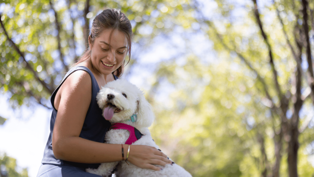 Your Dog's Heart Activity Could Match With Yours, Study Reveals 3 Doig being playful with owner