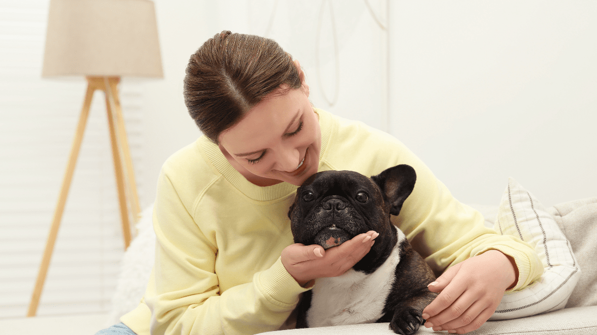 Top 15 Most Loving Dog Breeds 6 French Bulldog